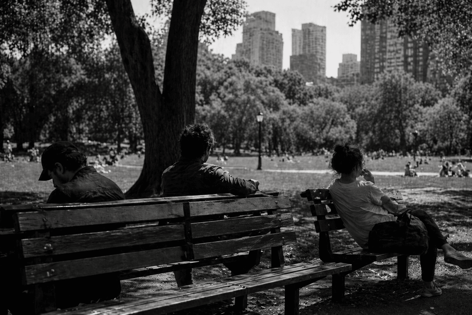 Solitary park visit and mental health — green space access and urban inequality