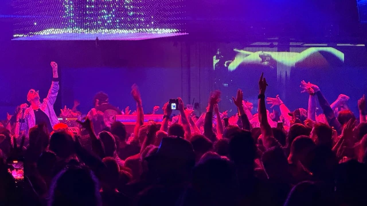 Crowd fist raised during the set